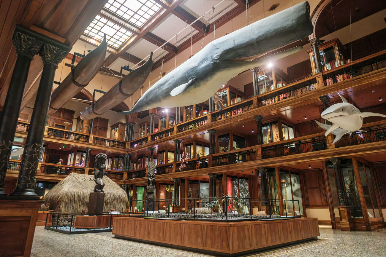 Hawaiian Hall Interior